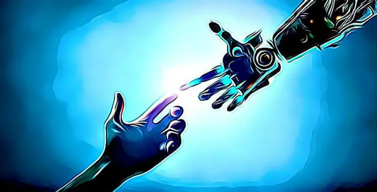 Human and Machine Hands