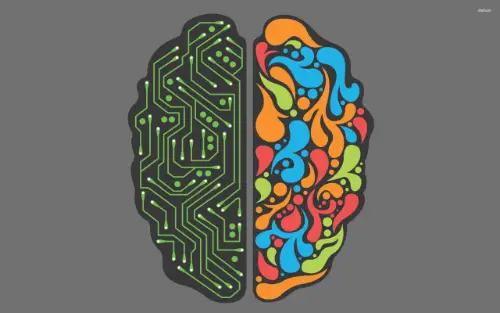 Both Sides of The Brain