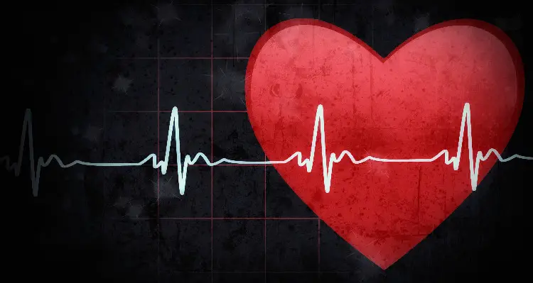 A Heart And A Pulse Measurement Graph