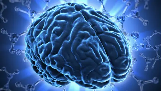 A Brain