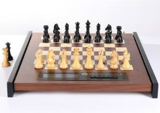 electronic chess set argos